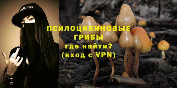 спиды Абдулино